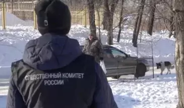 В Хабаровске отловили стаю собак, которая загрызла насмерть мужчину