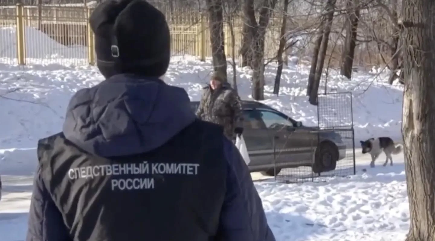 В Хабаровске отловили стаю собак, которая загрызла насмерть мужчину