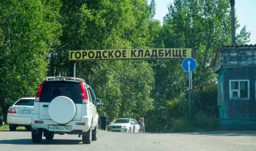 «Мероприятия по регулированию» медведей не мешают хищникам появляться на кладбище Комсомольска