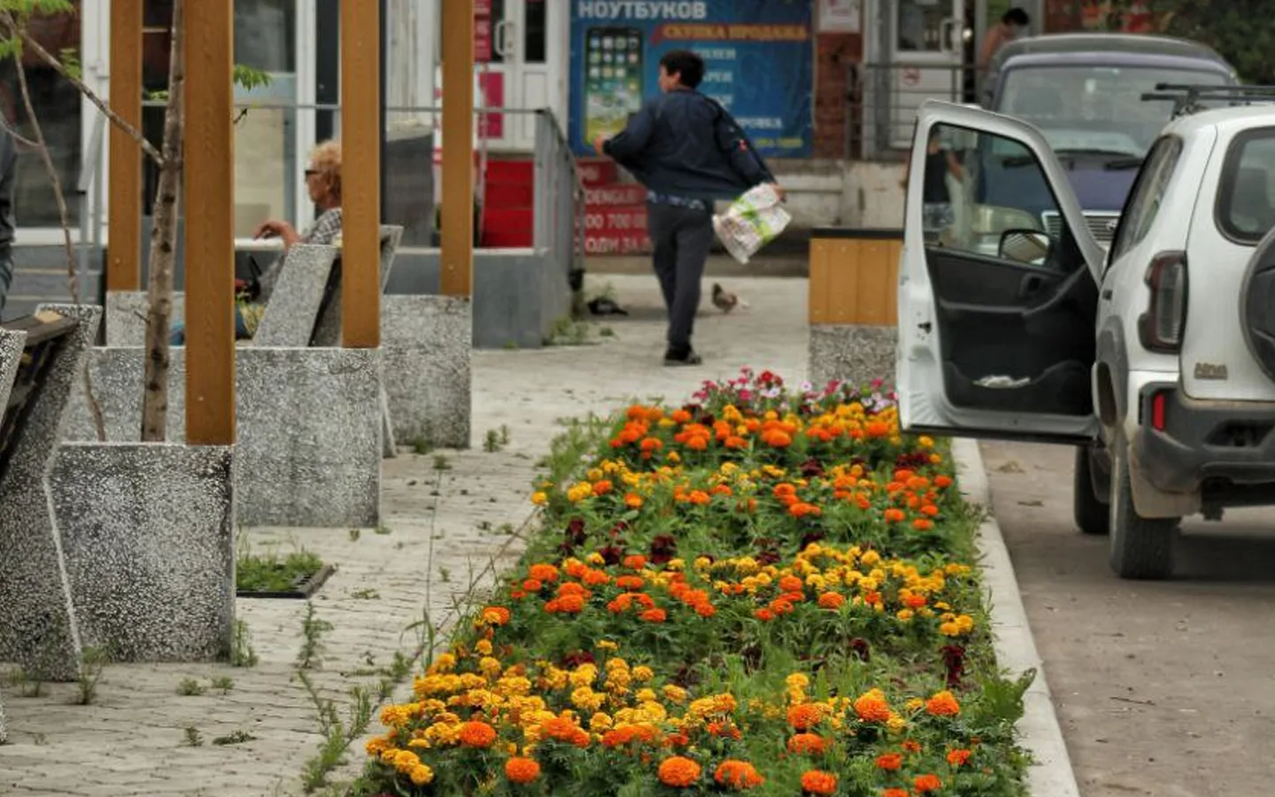 Яблони высадят осенью на площади Металлургов