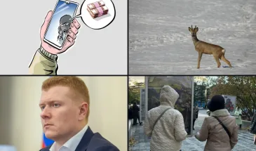 Главное за 4 октября 2026 по выбору читателей: новости Комсомольска