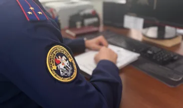 Комсомольчанка чуть не зарезала соседскую семью в ходе конфликта из-за громкой музыки