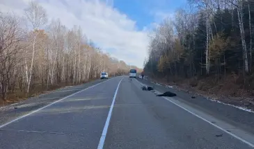 На трассе под Комсомольском автобус задел мопед, водитель мопеда погиб