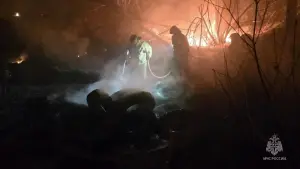Под Хабаровском спасли поселок от лесного пожара