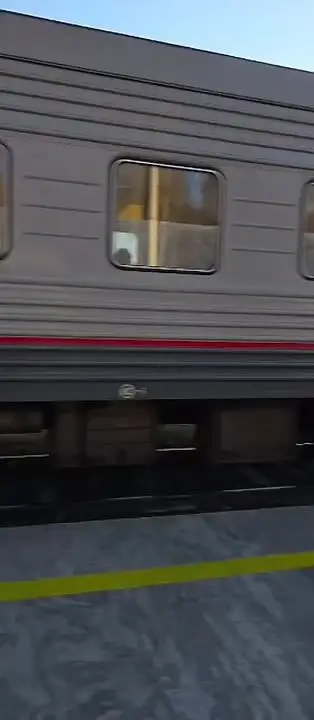 В Чегдомыне пьяный пассажир попал под поезд