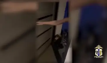В Хабаровске окончено расследование уголовного дела об организации занятий проституцией в трех регионах