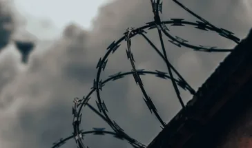 В Хабаровском крае мужчина осужден за насильственные действия сексуального характера в отношении пяти малолетних детей
