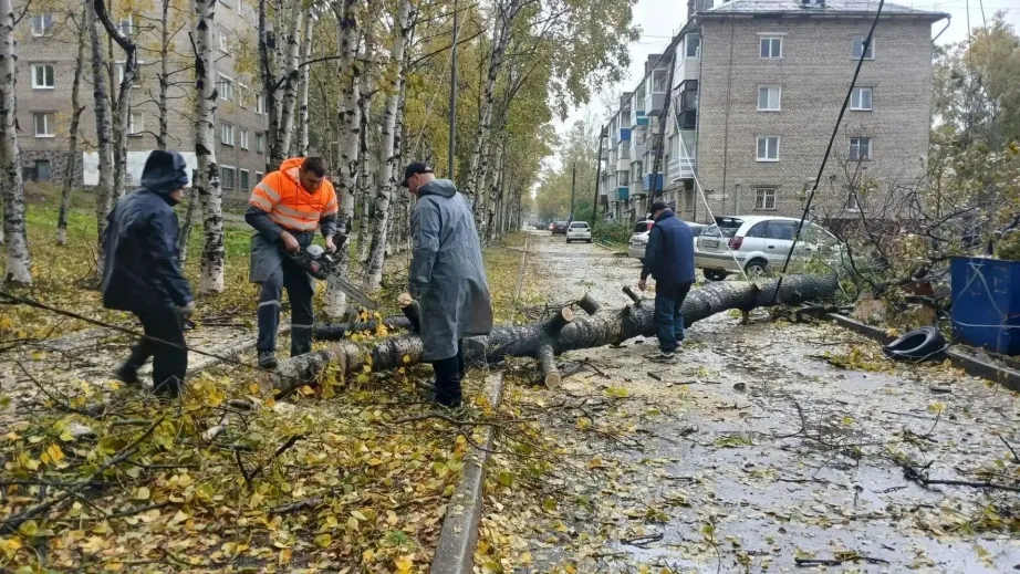 В Хабаровском крае устраняют последствия тайфуна «Джеби»