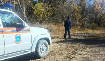 В Комсомольском районе ищут местного жителя, ушедшего в лес за шишками