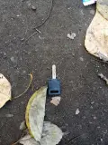 Найден ключ